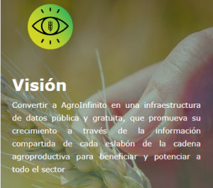 vision1